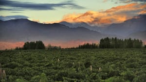 08 relaxing places - Mendoza, Argentina 