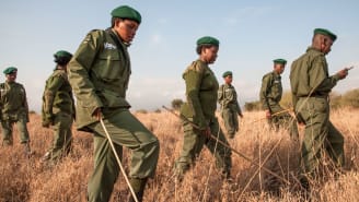 A typical day for Team Lioness might begin at 5 a.m. with a run and breakfast, followed by a briefing and morning patrol, which typically takes four hours.