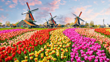06 happiest countries Netherlands