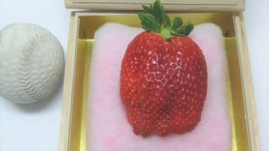 27 000 Melons Japan S Luxury Fruit Obsession Cnn Travel