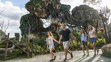 Image result for pandora animal kingdom