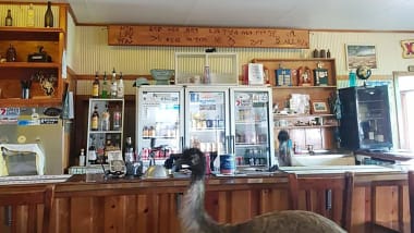 Australia Hotel Bans Rowdy Emus For Bad Behavior Cnn Travel