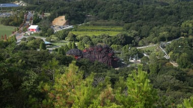 New Japanese Theme Park Attraction Lets Guests Zipline Into Godzilla S Mouth Cnn Travel