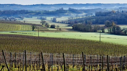 Gascony Vs Bordeaux Which Has Better Wine And Food Cnn Travel