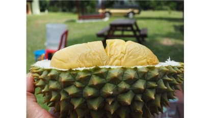 Best Durians In Asia American Woman Tracks Them Down Cnn Travel
