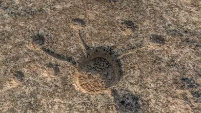 Al Jassasiya: The mysterious symbols carved in Qatar&#39;s deserts | CNN Travel