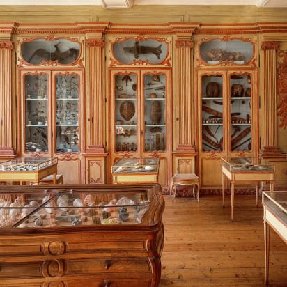 The Rich Treasures Of Renaissance Cabinets Of Curiosities Cnn Style