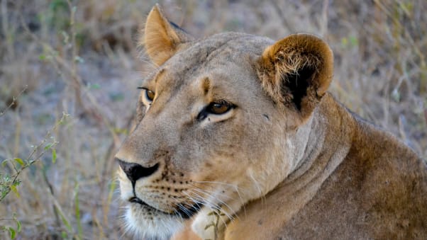 Kenya