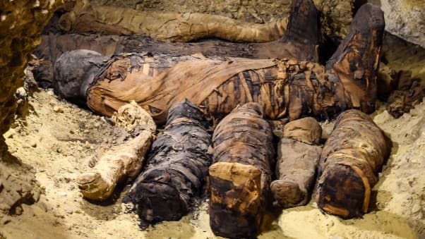 The mummies were most likely from the same upper-middle class family, the Minister said.