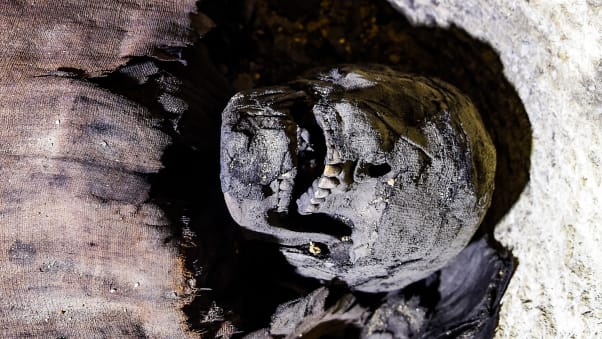 The partially uncovered skull of one of the mummies.