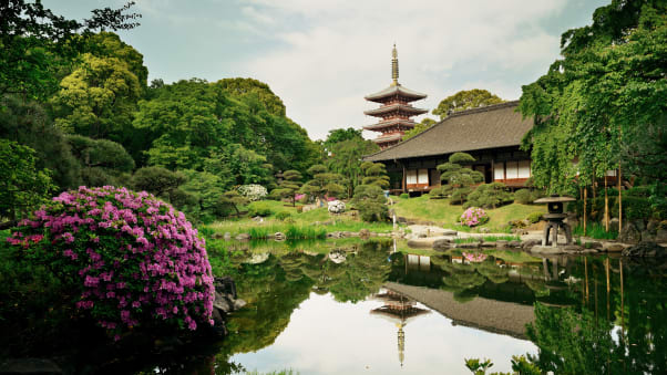 Gardens like this one at Sensoji Temple provide restful place amid the hustle and bustle of busy Tokyo.