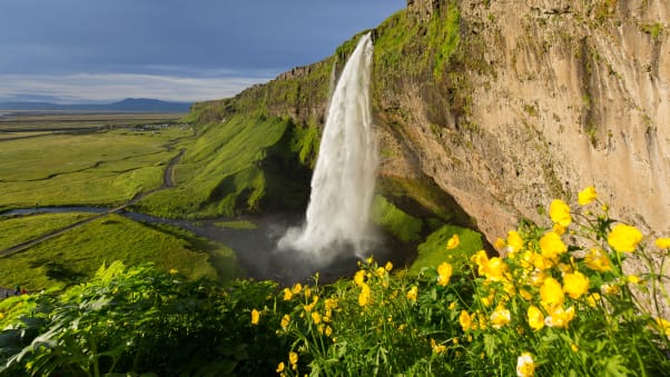 Seljalandsfoss waterfall is a spectular sight in southern Iceland.