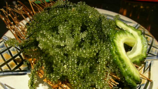 Also known as green caviar, umi-bodo is a type of seaweed from Okinawa.