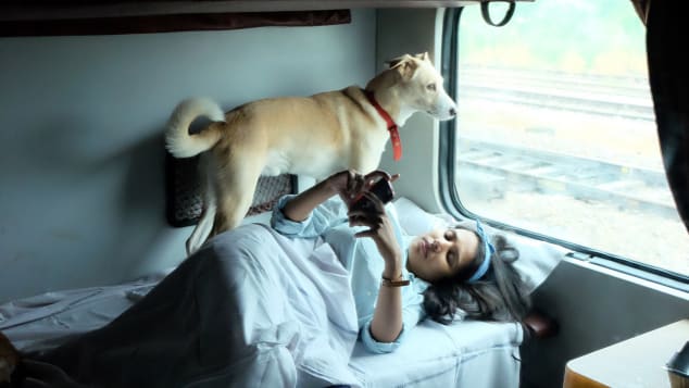 Travel with dogs India