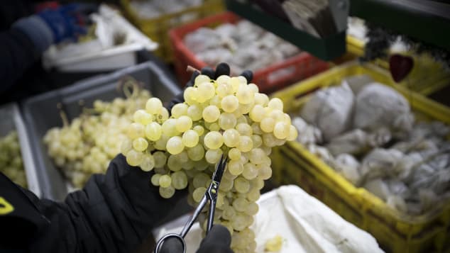 In Spain, they bring in the new year with 12 grapes. The tradition has spread to many Spanish-speaking countries.