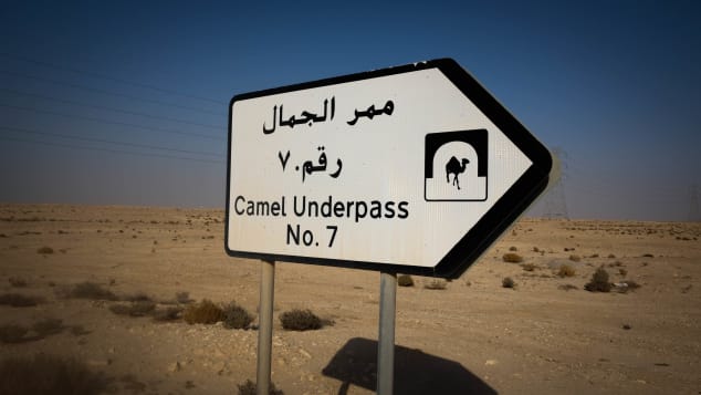 Zekreet Peninsula Qatar