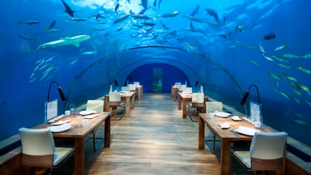 Conrad-Maldives_Ithaa-Undersea-Restaurant-High