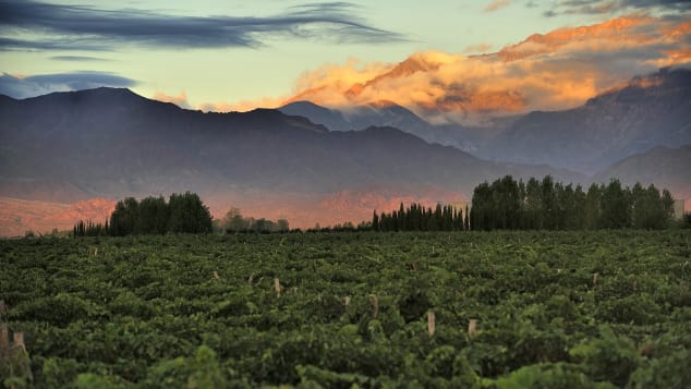 Mendoza - a maior região vinícola da Argentina. 