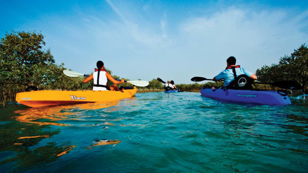 Kayaking around Abu Dhabi is a good way to spot wild life.