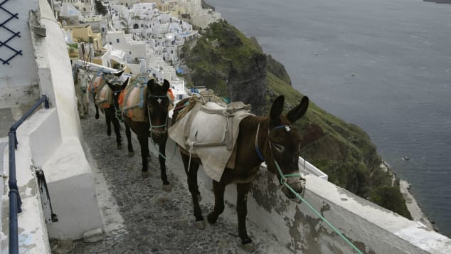 Donkeys are the traditonal means of transportation on Santorini.
