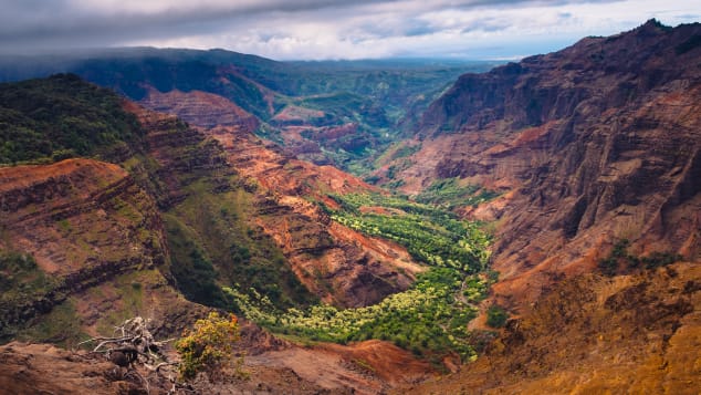 Waimea Canyon is about 2,500 feet deep.