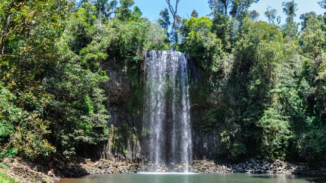 Millaa Millaa Falls is just one of many features to see  in the Atherton Tablelands.