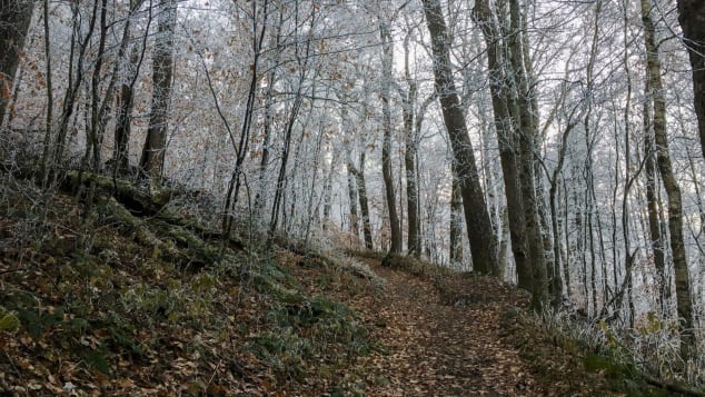 Appalachian Trail, United States