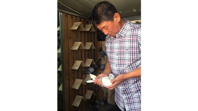 Zhang Yajun is one of 100,000 pigeon breeders lliving in Beijing.