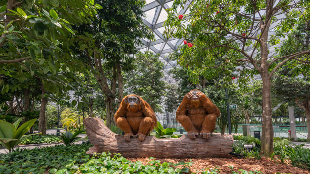 Jewel Changi Airport Singapore