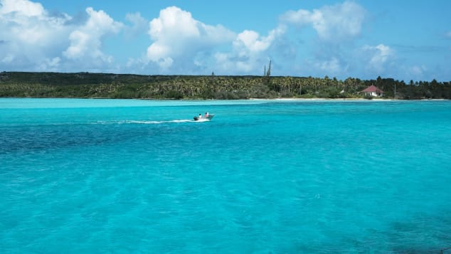 New Caledonia's waters are a haven for marine life.