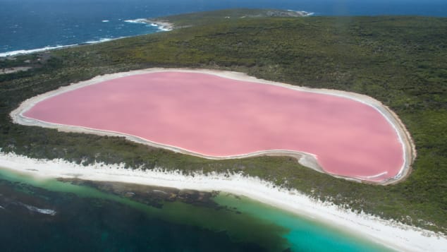 Australia's "pink lake" is 600 meters long and 250 meters wide. 