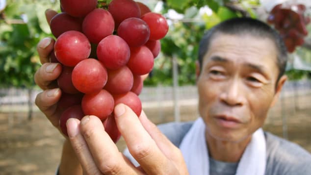 http%3A%2F%2Fcdn.cnn.com%2Fcnnnext%2Fdam%2Fassets%2F190710101446-japan-ruby-roman-grapes-2.jpg