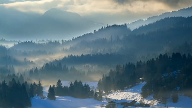 Bavarian Forest National Park -- the largest national park in Germany. 