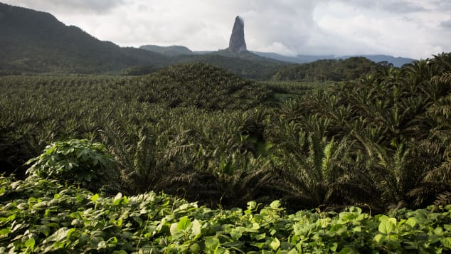 The island nation of São Tomé and Príncipe is home to rich jungle and volcanic peaks, including Pico Cao Grande on Sao Tome island. 