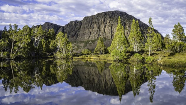 The Tasmanian Wilderness World Heritage Area is filled with unique alpine vegetation.