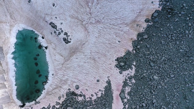 Di Mauro believes the snow has turned pink due to the presence of algae.