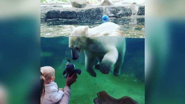 Love at first sight at The Polar Bear House.