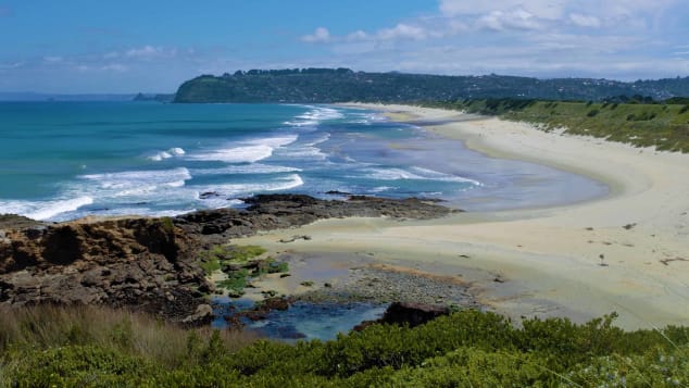 Pictured is St. Kilda beach in  Dunedin, New Zealand. As the world slowly reopens, visiting beaches can be safer than traveling to indoor destinations.