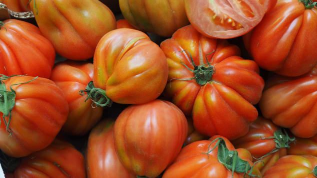 Few countries now are as obsessed with tomatoes as Italy.