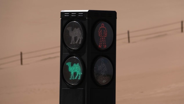 The camel signal went into operation on Sunday.