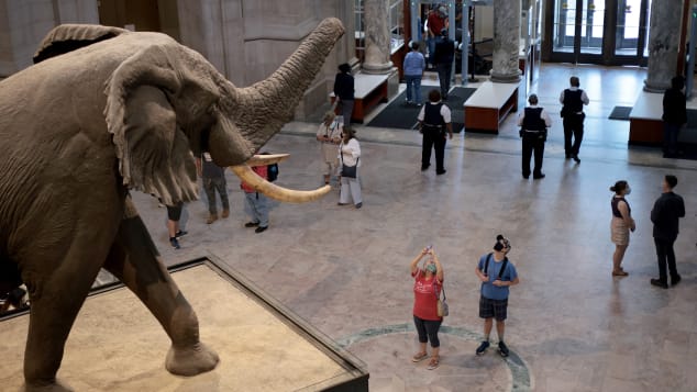 The Smithsonian National Museum of Natural History is a popular spot for tourists. You must have proof of vaccination to eat at its indoor dining areas.
