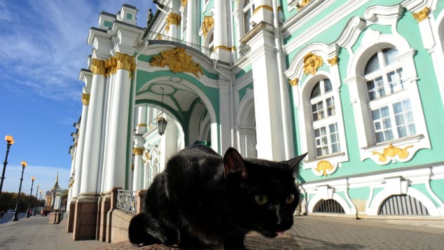 A black cat sits in front of the Hermitage Museum. 
