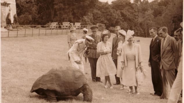 Meet 190-year-old Jonathan, the world's oldest-ever tortoise Http%3A%2F%2Fcdn.cnn.com%2Fcnnnext%2Fdam%2Fassets%2F220126130533-04-oldest-tortoise-jonathan-scli-intl