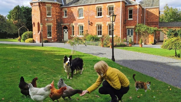 Julie feeds chickens while house sitting at a seven bedroom home in the UK back in 2018.