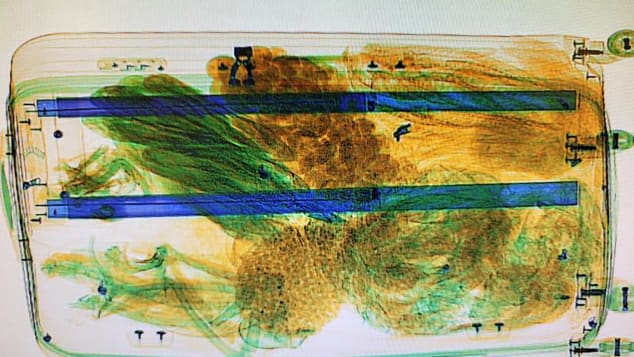 A bat's skeleton can be seen in the bottom left in this x-ray image of the traveler's baggage