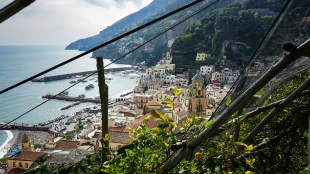 Amalfi lemon farmers-2