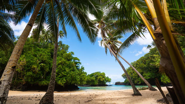 Palmat dhe qielli blu kornizojnë një plazh tropikal në Samoa në Paqësorin Jugor.
