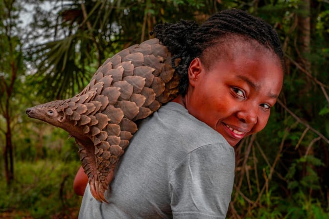 Mércia Ângela, a Mozambican wildlife veterinarian, is pictured here with Boogli, an infant female Cape pangolin she rescued. Ângela raised the baby pangolin and released her back into the wild a few weeks after this shot, selected for the Conservation Heroes category, was taken by German photographer Jennifer Guyton.