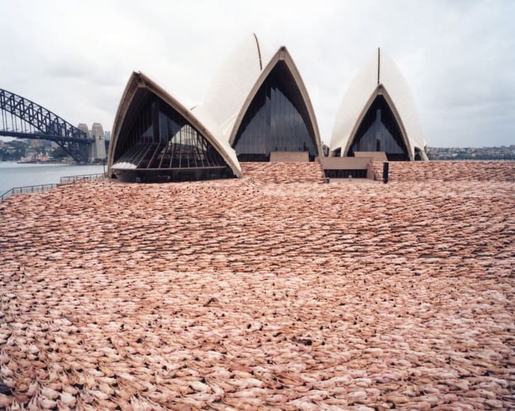 Tunick photographed nude participants in front of the Sydney Opera House in 2010. 