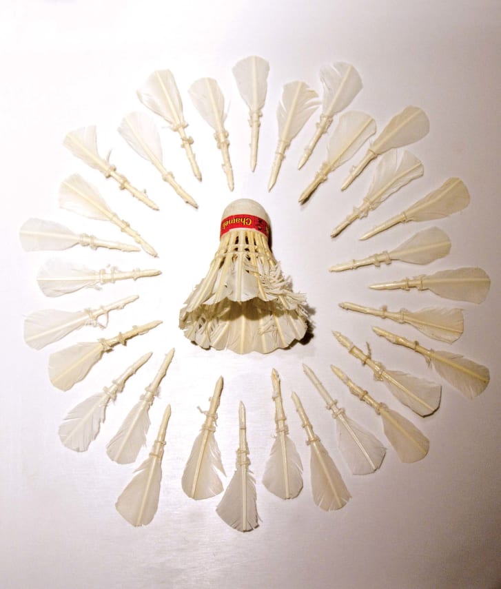 The shuttlecock is a sport that many Indians excel at, and is often used as a metaphor for life in the country.